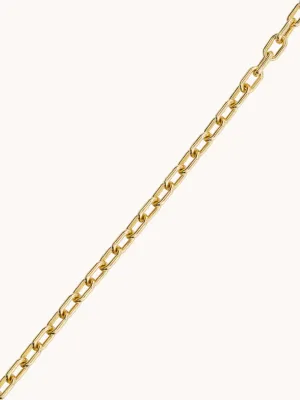 3.6 Elongated Cable Chain