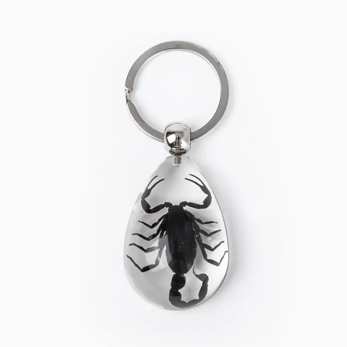 Real Black Scorpion Keychain in Clear Resin Teardrop Real Nature Gifts