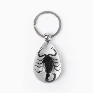 Real Black Scorpion Keychain in Clear Resin Teardrop Real Nature Gifts