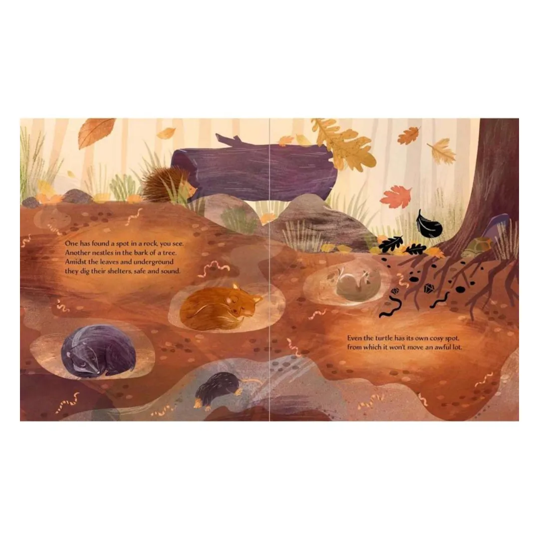 Sassi - Autumn Story Book
